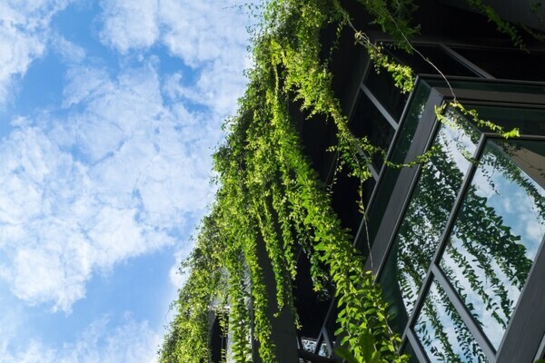 AdobeStock_206679241 (1) (Small)-1