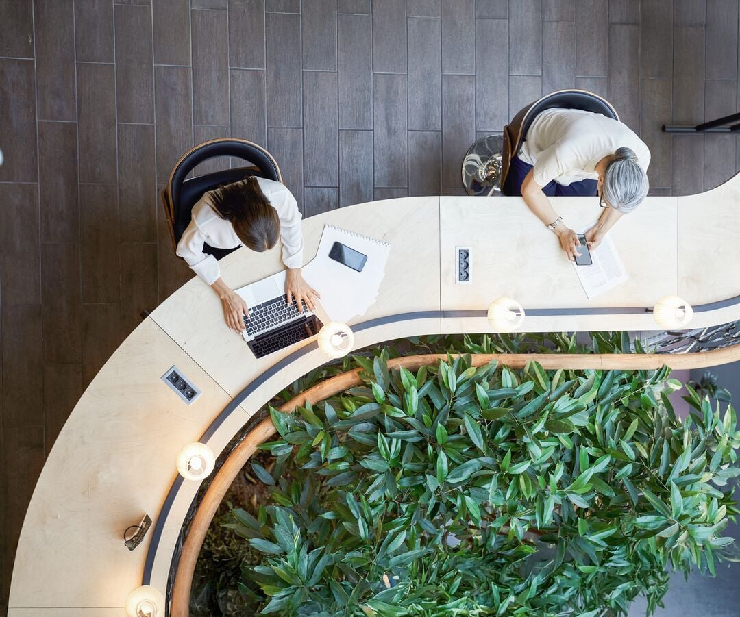 Web_Desktop-Young student and adult woman working at the same desk