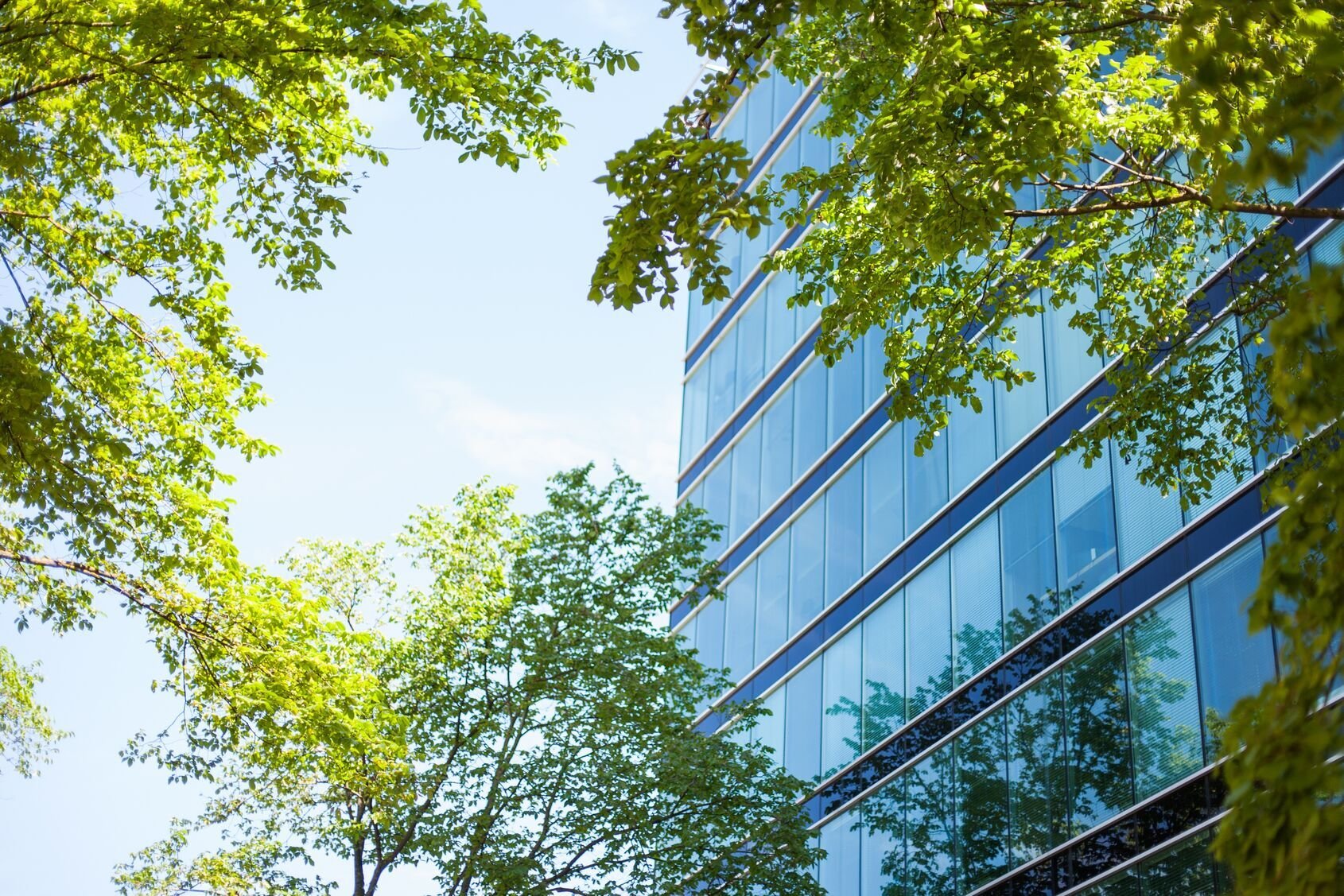 Web_Wide-AdobeStock_115864871