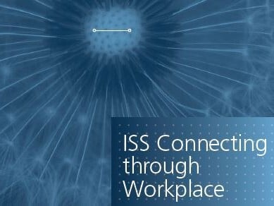Primer ciclo Connecting_Through_Workplace