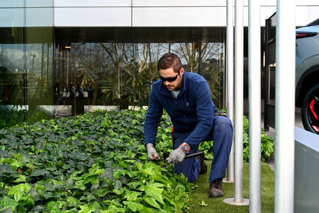 Web_Desktop-Jardinería_100