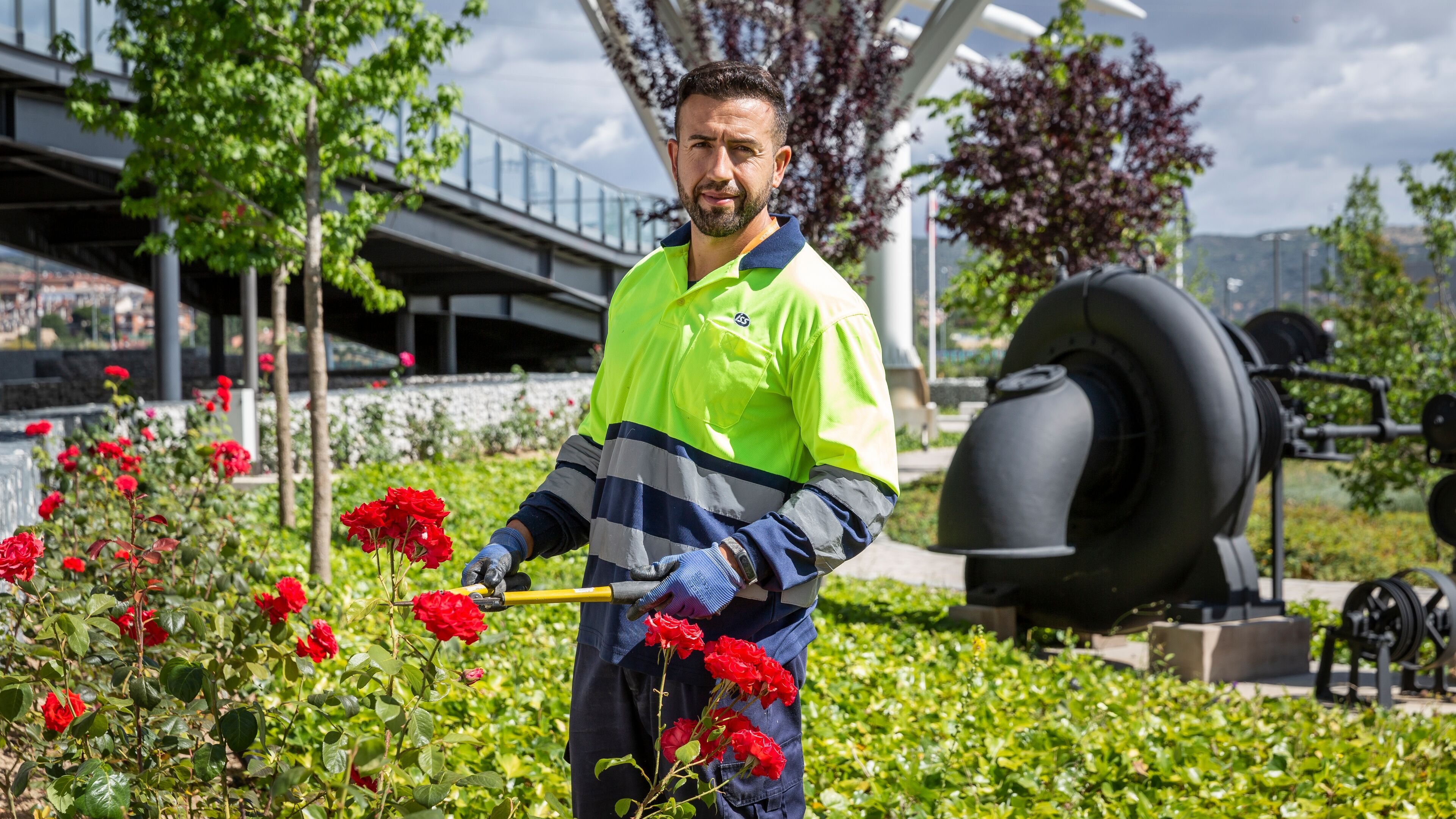 XLarge_4k-Jardinería 5 1